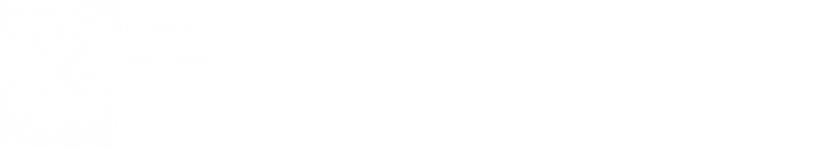 digi-access_logo-weiss